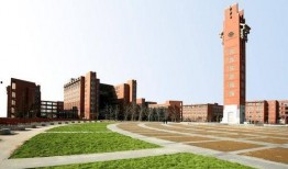 郑州大学城爆料事件最新,揭秘校园安全与管理的隐忧