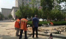 中牟最新爆料,揭秘背后惊人真相