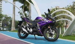 最新国产摩托车爆料,最新爆料揭秘未来市场霸主