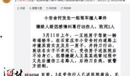 最新爆料石家庄事件,揭秘背后真相与影响