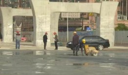 顺德路况爆料最新公告,实时动态与出行提示汇总