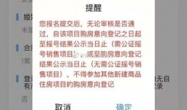官方最新爆料消息,揭秘神秘项目，科技巨头布局未来