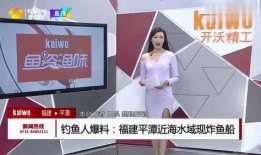 钓鱼爆料视频最新大全下载,最新钓鱼技巧与精彩瞬间大盘点