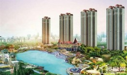 南宁恒大最新爆料,揭秘神秘项目背后的惊人真相