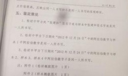 蓝色协议最新爆料新闻报道,最新爆料揭示行业重大动态